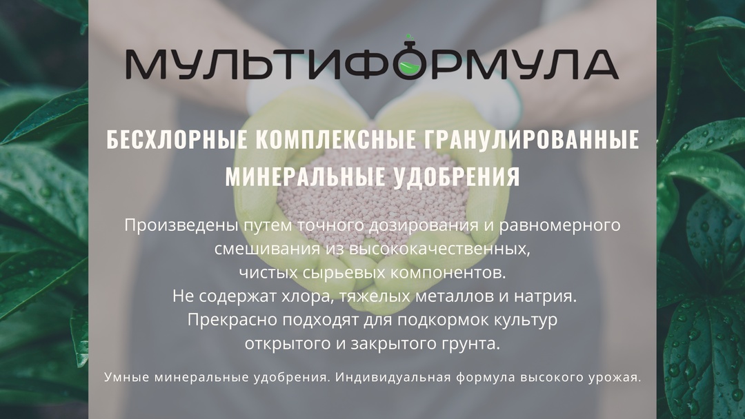 БЕСХЛОРНЫЕ КОМПЛЕКСНЫЕ УДОБРЕНИЯ